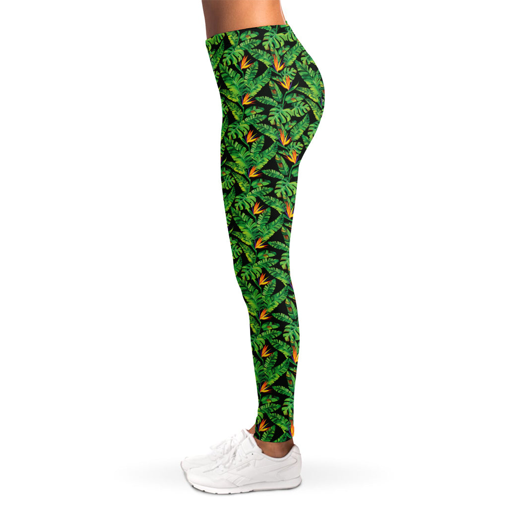 Bird Of Paradise And Palm Leaves Print Women's Leggings