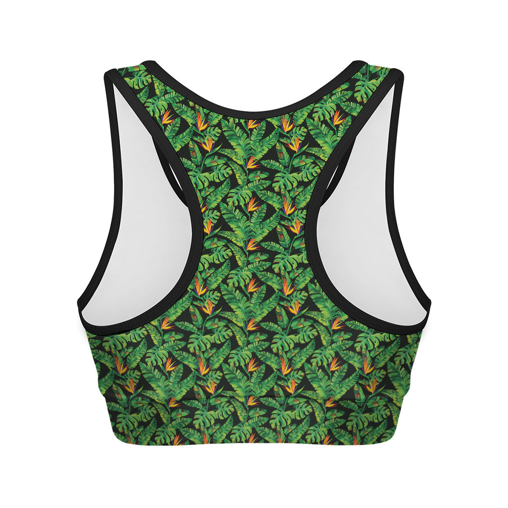 Bird Of Paradise And Palm Leaves Print Women's Sports Bra