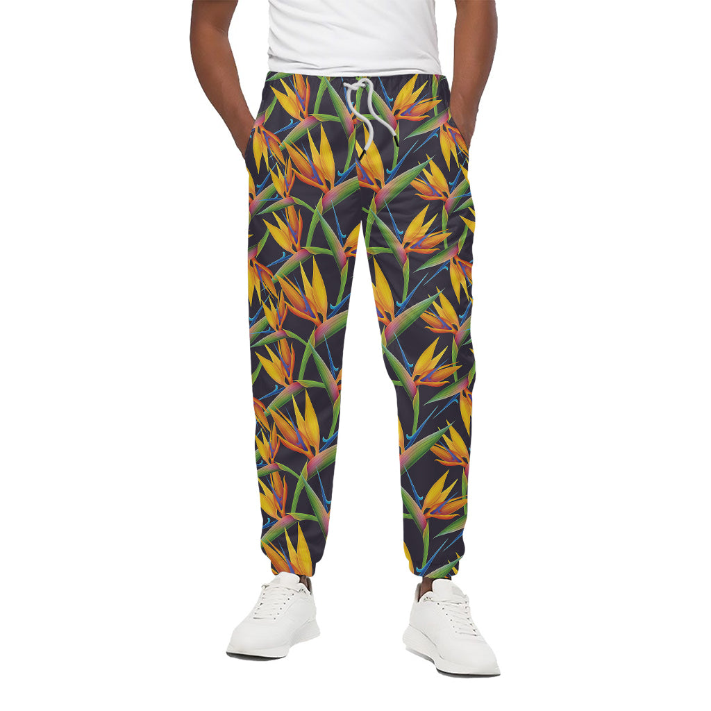 Bird Of Paradise Flower Pattern Print Cotton Pants