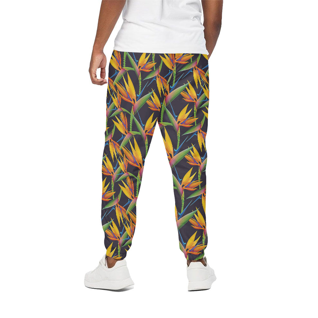 Bird Of Paradise Flower Pattern Print Cotton Pants