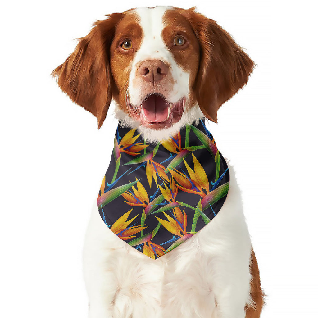 Bird Of Paradise Flower Pattern Print Dog Bandana