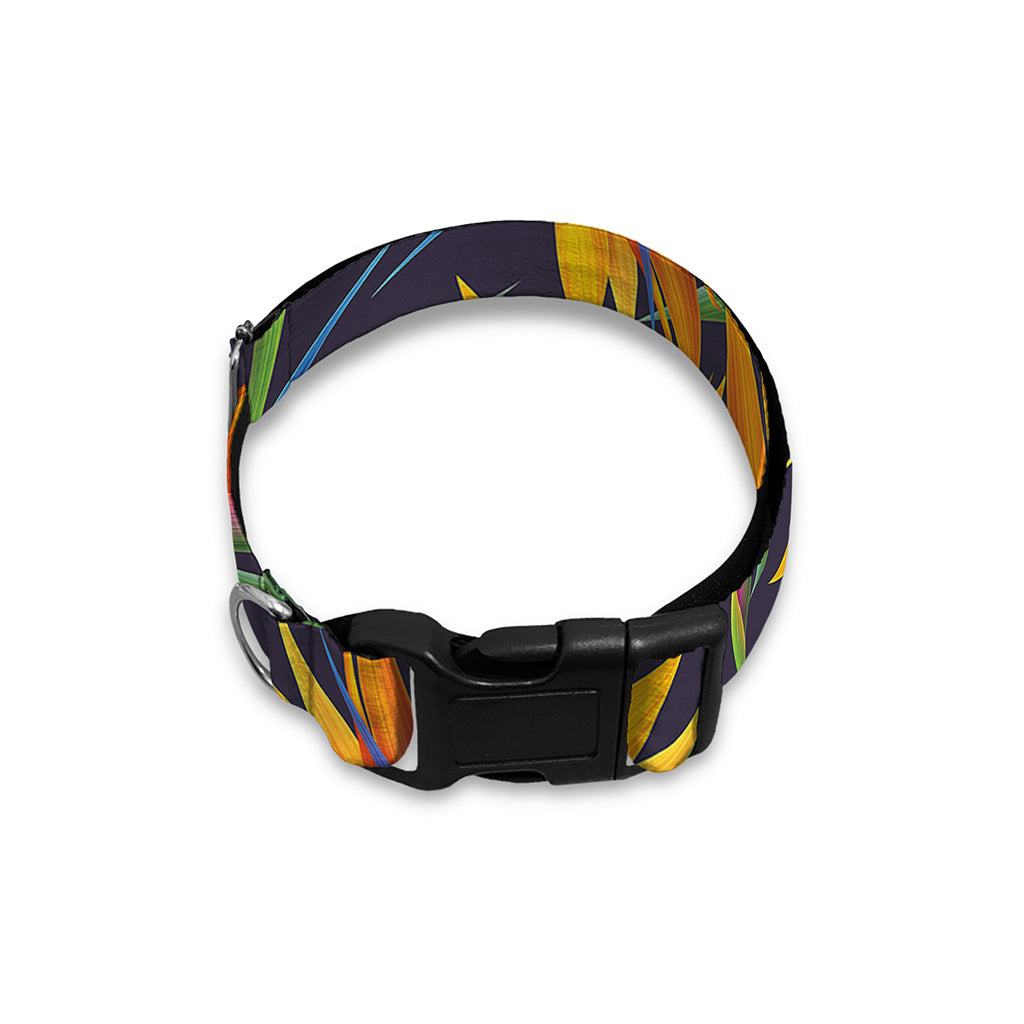 Bird Of Paradise Flower Pattern Print Dog Collar