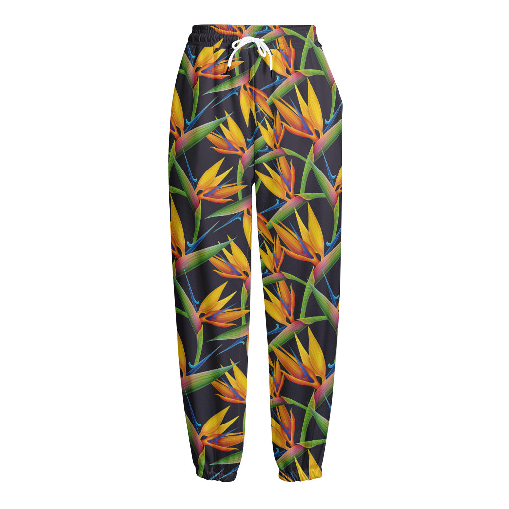 Bird Of Paradise Flower Pattern Print Fleece Lined Knit Pants