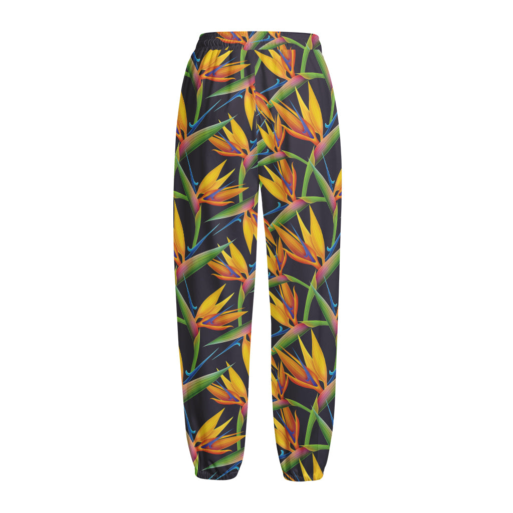 Bird Of Paradise Flower Pattern Print Fleece Lined Knit Pants