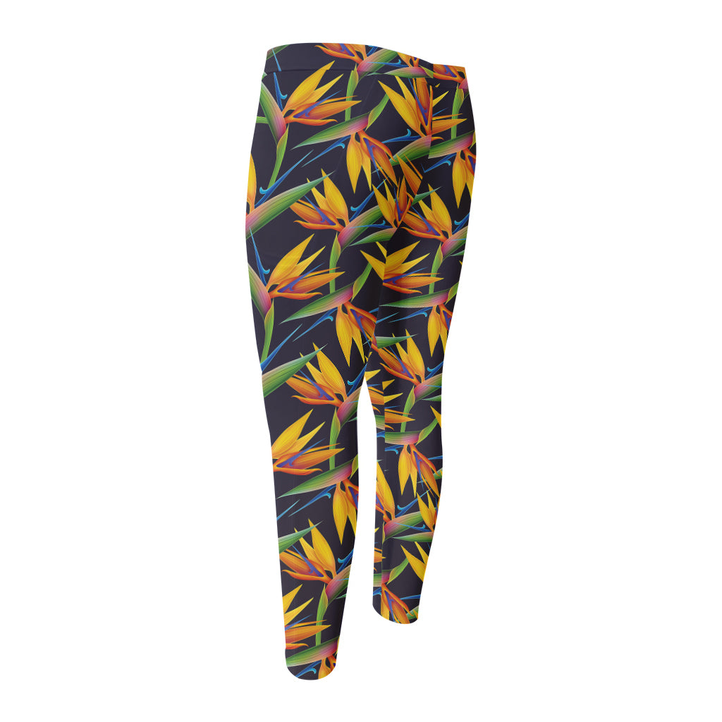 Bird Of Paradise Flower Pattern Print Men's Compression Pants