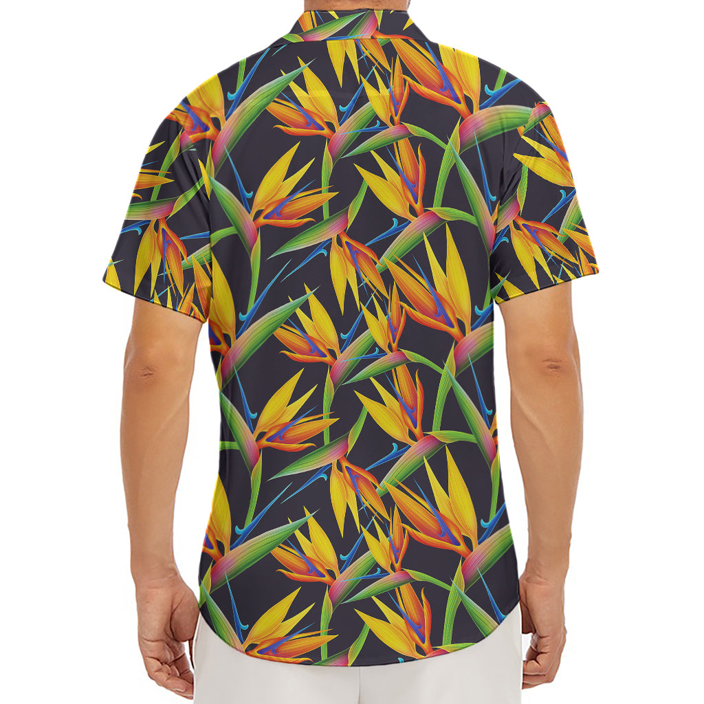 Bird Of Paradise Flower Pattern Print Men's Deep V-Neck Shirt