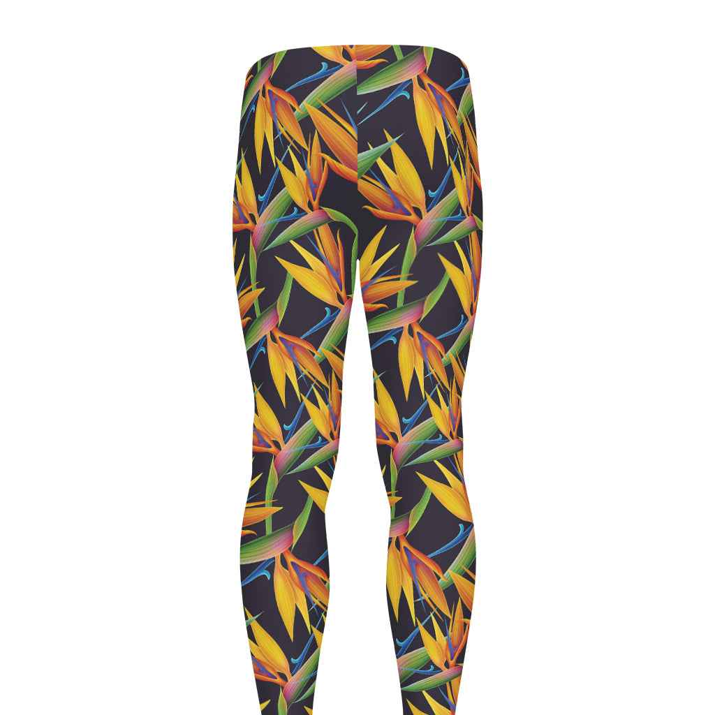 Bird Of Paradise Flower Pattern Print Men's leggings