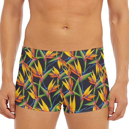 Bird Of Paradise Flower Pattern Print Men's Short Boxer Briefs