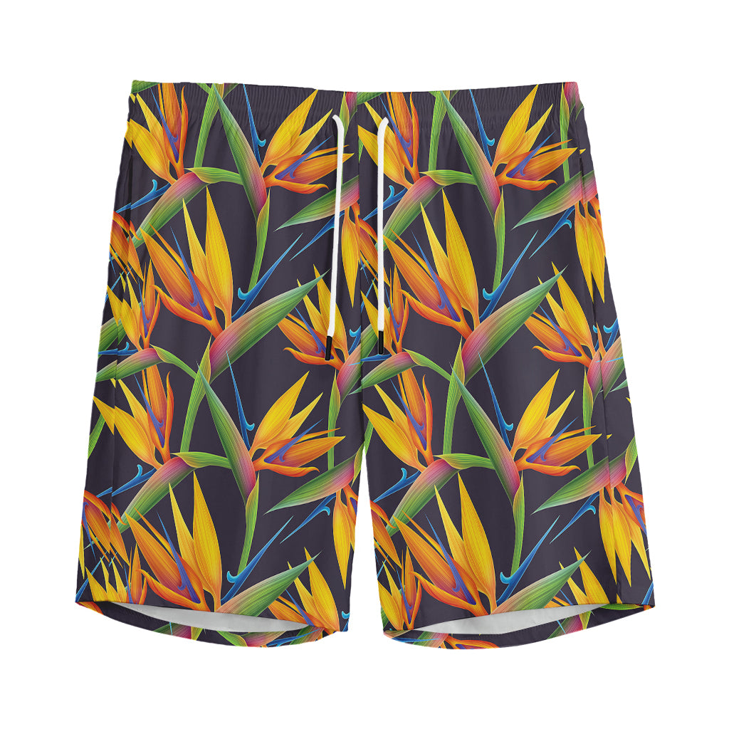 Bird Of Paradise Flower Pattern Print Men's Sports Shorts