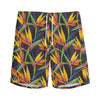 Bird Of Paradise Flower Pattern Print Men's Sports Shorts