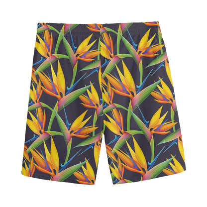Bird Of Paradise Flower Pattern Print Men's Sports Shorts