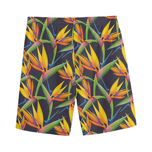 Bird Of Paradise Flower Pattern Print Men's Sports Shorts