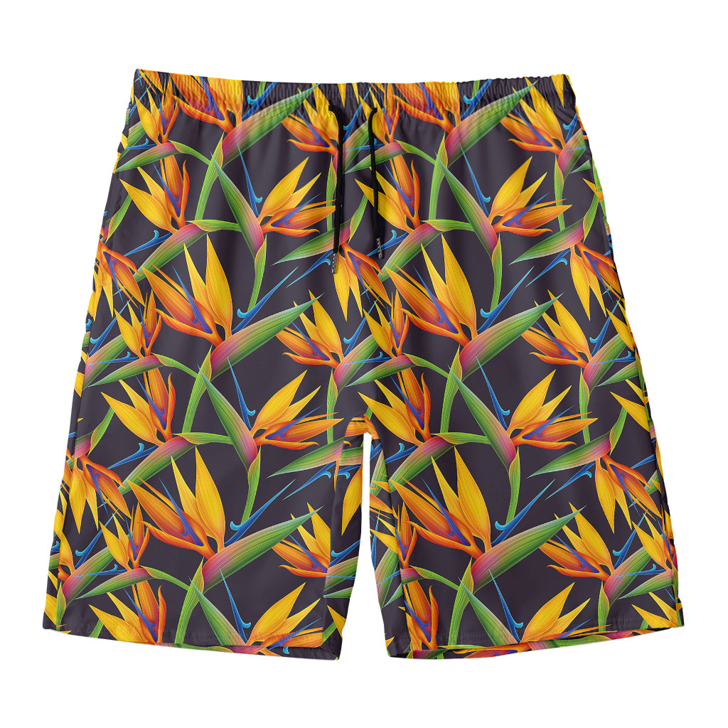 Bird Of Paradise Flower Pattern Print Men's Swim Trunks