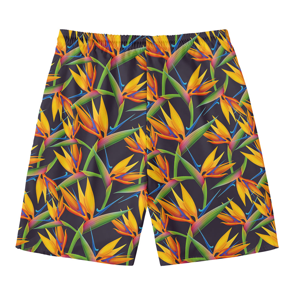 Bird Of Paradise Flower Pattern Print Men's Swim Trunks