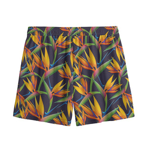 Bird Of Paradise Flower Pattern Print Mesh Shorts