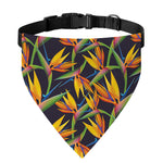 Bird Of Paradise Flower Pattern Print Over The Collar Dog Bandana