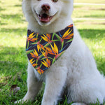 Bird Of Paradise Flower Pattern Print Over The Collar Dog Bandana