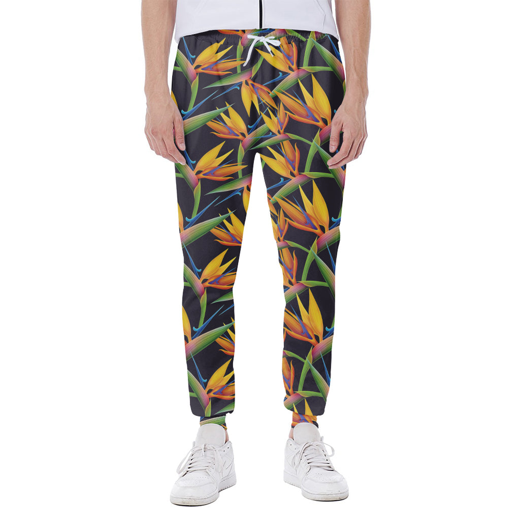 Bird Of Paradise Flower Pattern Print Scuba Joggers