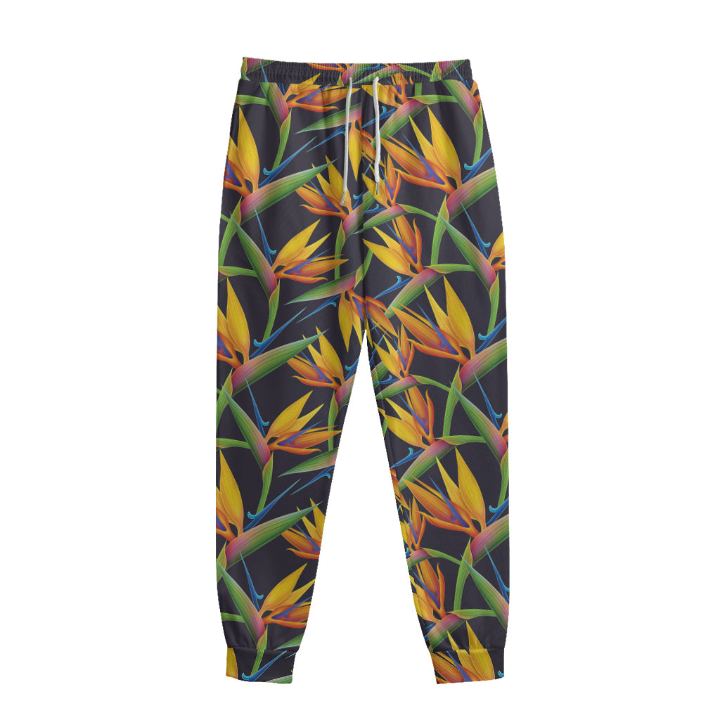 Bird Of Paradise Flower Pattern Print Sweatpants