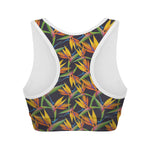 Bird Of Paradise Flower Pattern Print Women's Sports Bra