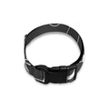 Bitcoin Connection Pattern Print Dog Collar