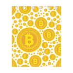 Bitcoin Crypto Pattern Print Curtain