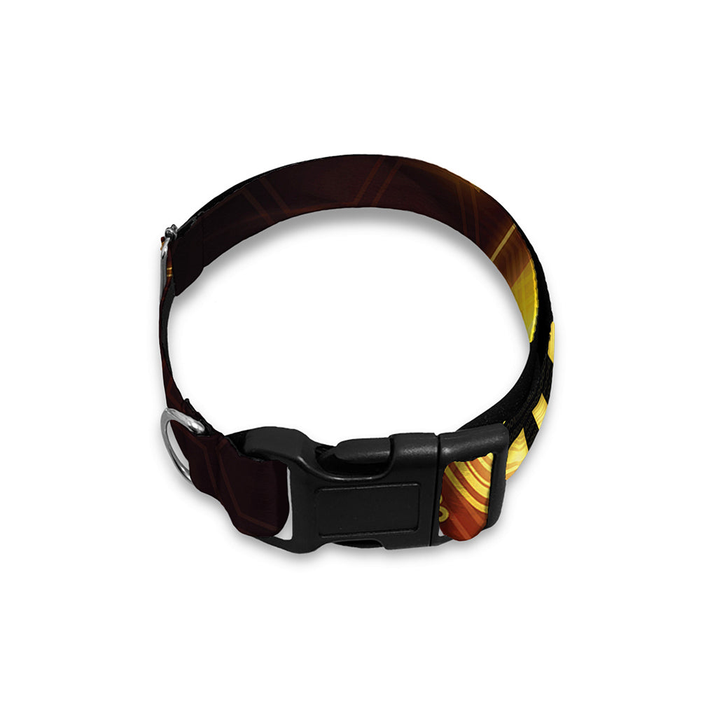 Bitcoin Crypto Symbol Print Dog Collar