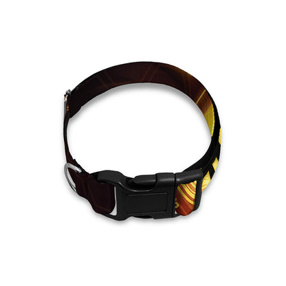Bitcoin Crypto Symbol Print Dog Collar
