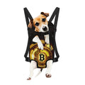 Bitcoin Crypto Symbol Print Pet Carrier Backpack