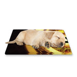 Bitcoin Crypto Symbol Print Pet Cooling Mat Cover