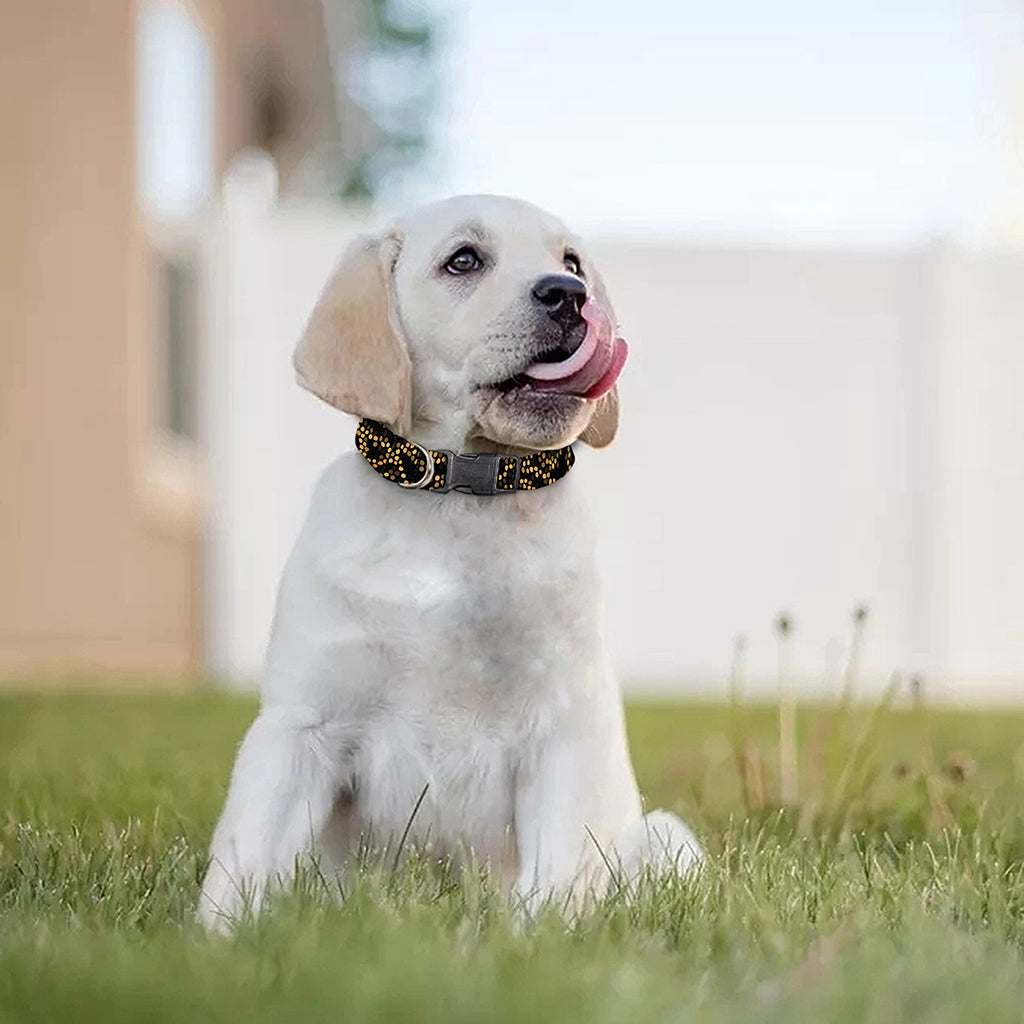 Black And Gold African Afro Print Dog Collar
