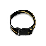 Black And Gold Eye of Providence Print Dog Collar