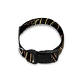 Black And Gold Sea Turtle Print Dog Collar