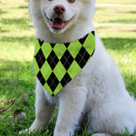 Black And Green Argyle Pattern Print Over The Collar Dog Bandana