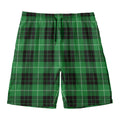Black And Green Tartan Pattern Print Men's Swim Trunks
