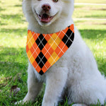 Black And Orange Argyle Pattern Print Over The Collar Dog Bandana