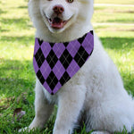 Black And Purple Argyle Pattern Print Over The Collar Dog Bandana