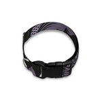 Black And Purple Damask Pattern Print Dog Collar
