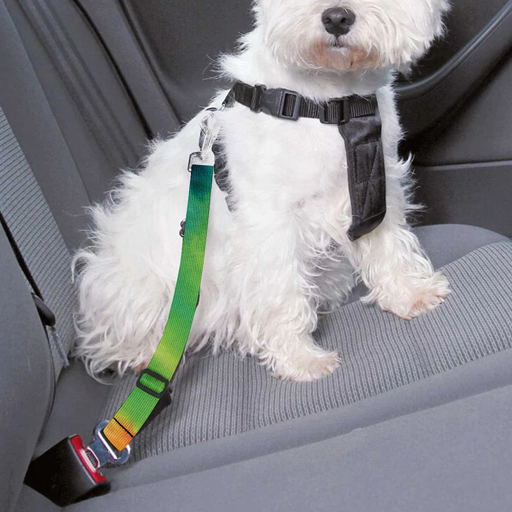 Black And Rainbow Tie Dye Print Dog Seat Belt