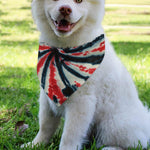 Black And Red Spider Tie Dye Print Over The Collar Dog Bandana