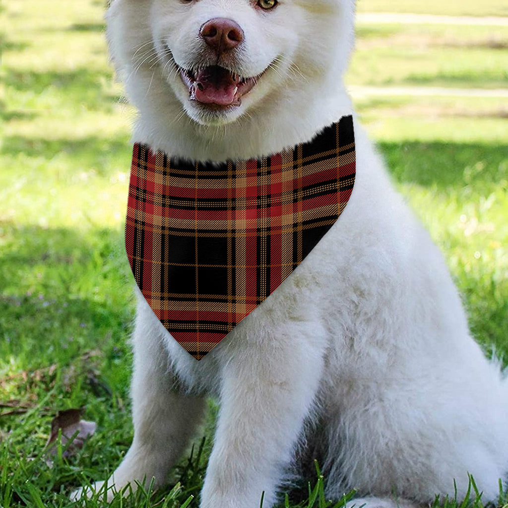 Black And Red Stewart Tartan Print Over The Collar Dog Bandana
