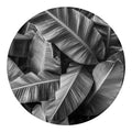 Black And White Banana Leaf Print Round Blanket