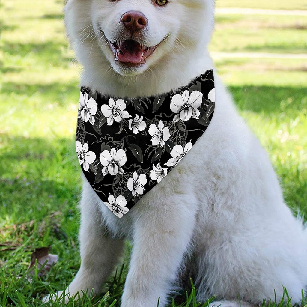 Black And White Cattleya Pattern Print Over The Collar Dog Bandana