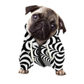 Black And White Circle Illusion Print Dog Zip Up Hoodie
