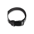 Black And White Crazy Donkey Print Dog Collar