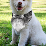 Black And White Drawing Beagle Print Over The Collar Dog Bandana