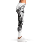 Black And White Drawing Beagle Print Women's Leggings