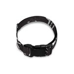 Black And White Eye of Providence Print Dog Collar