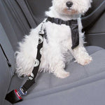 Black And White Eyeball Pattern Print Dog Seat Belt