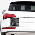 Black And White Fern Leaf Print Car Sticker